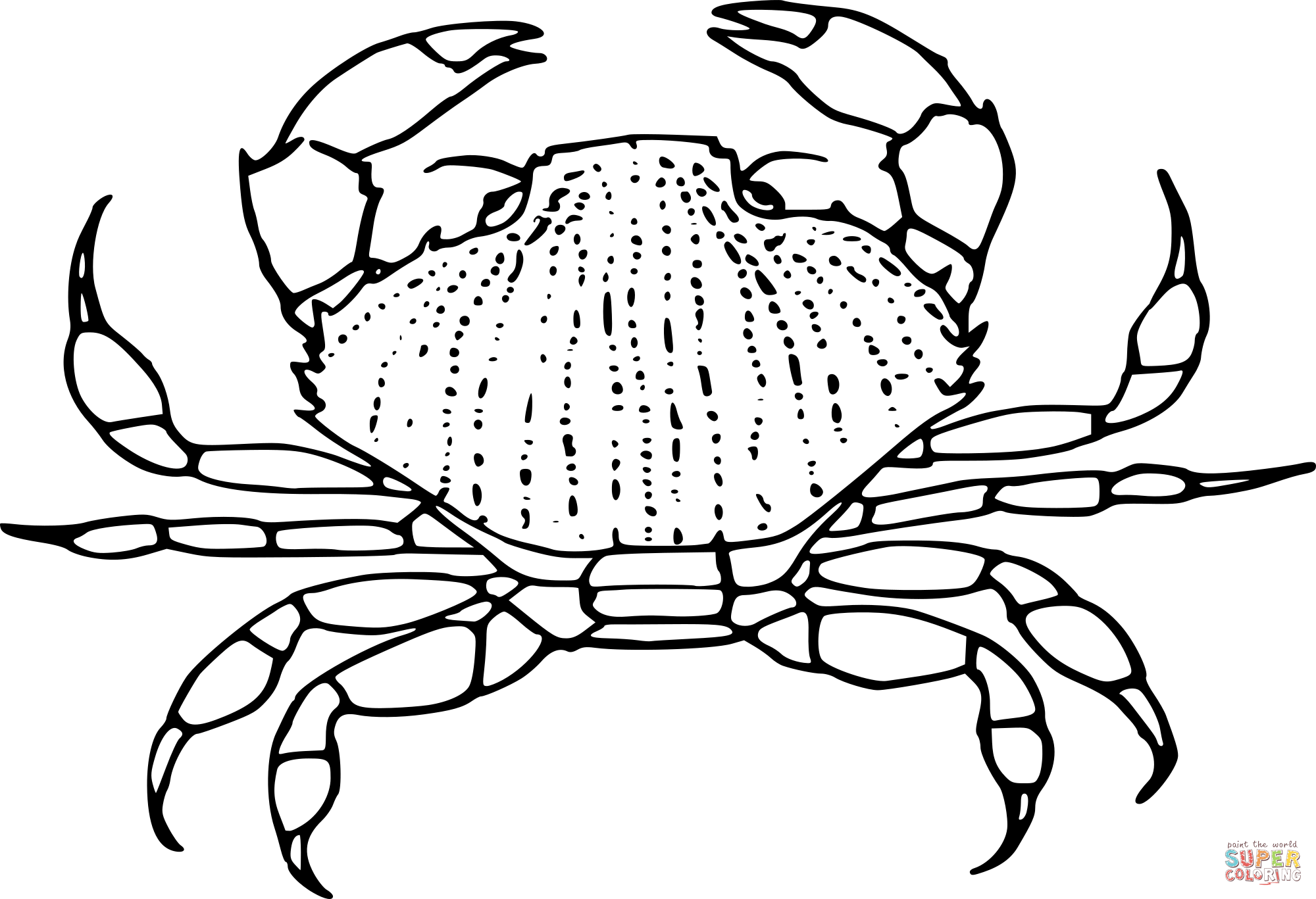 Krab kolorowanki